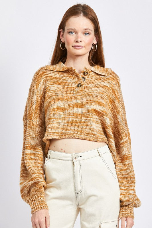 Emory Park Cropped Long Sleeve Sweater in 2 Colors