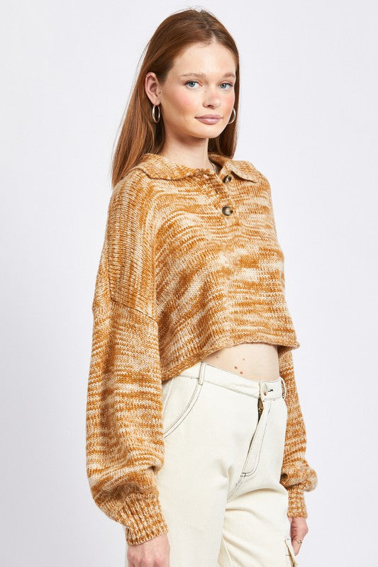 Emory Park Cropped Long Sleeve Sweater in 2 Colors