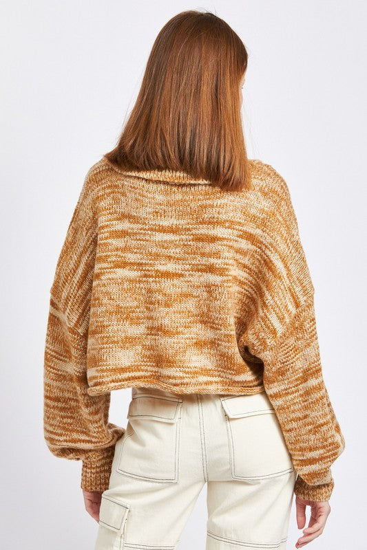 Emory Park Cropped Long Sleeve Sweater in 2 Colors