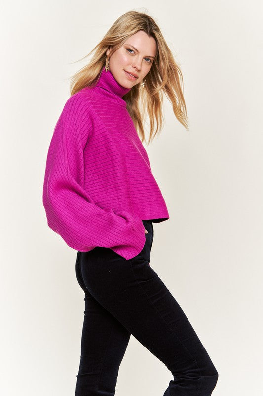 Jade By Jane Turtle Neck Wide Sleeve Knit Crop Sweater Top in 2 Colors