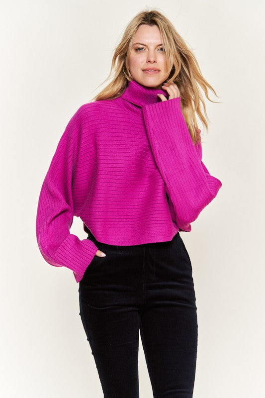 Jade By Jane Turtle Neck Wide Sleeve Knit Crop Sweater Top in 2 Colors